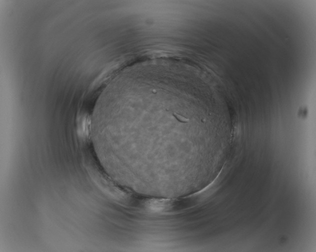 X0000115310094200911161732