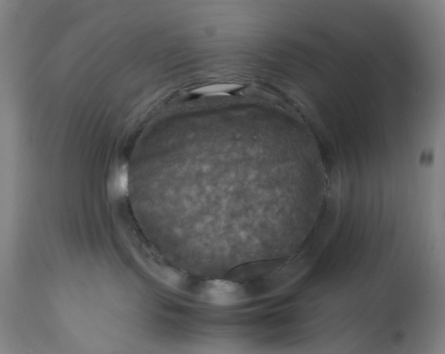 X0000115310095200911161732