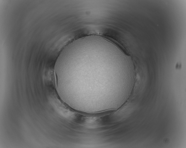 X0000115310096200911161732