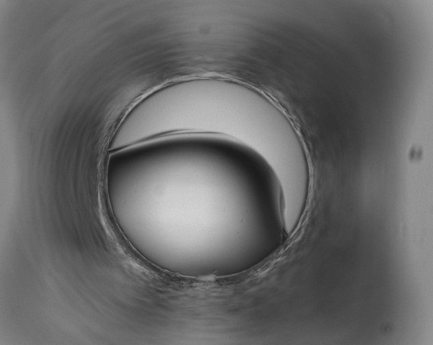 X0000115310097200911161731