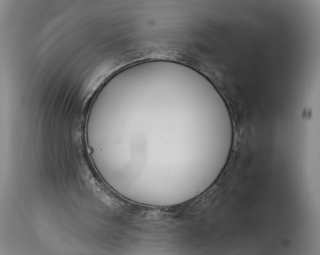 X0000115310098200911161731