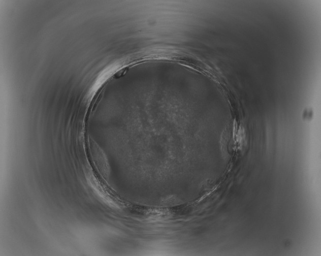 X0000115310099200911161731