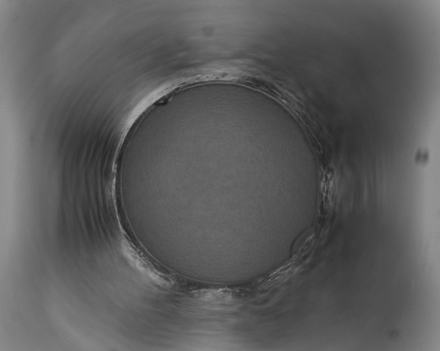 X0000115310100200911161731