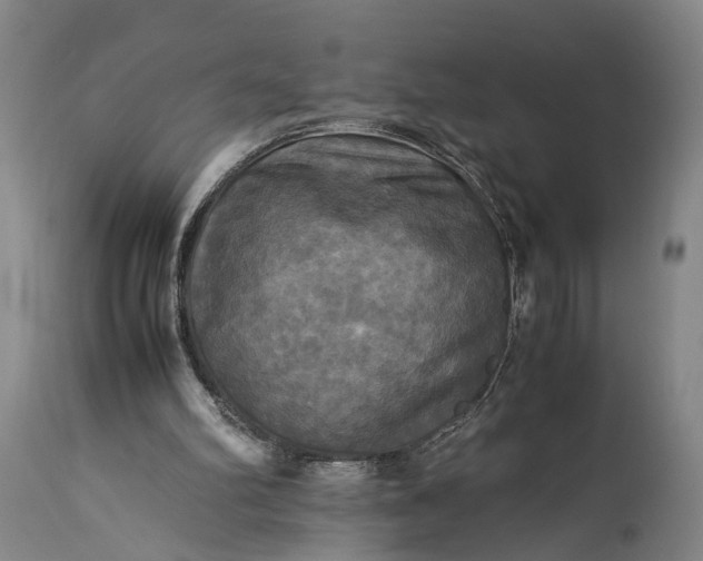 X0000115310102200911161731