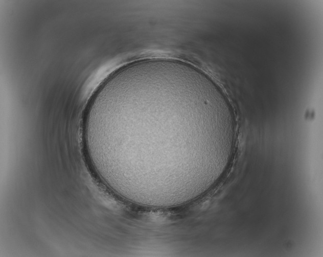 X0000115310103200911161731