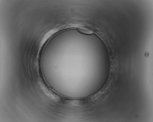 X0000115310104200911161731