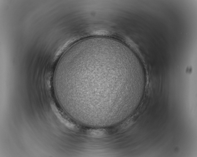 X0000115310106200911161731