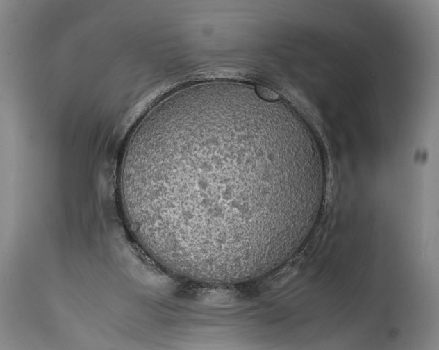 X0000115310107200911161731