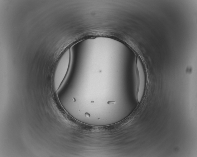 X0000115310109200911161731