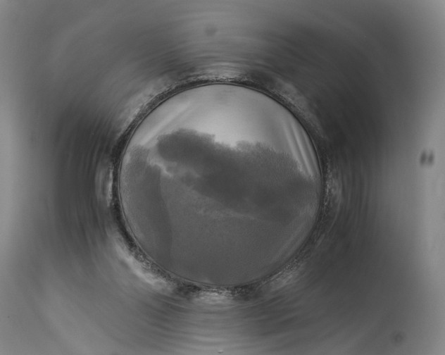 X0000115310110200911161731