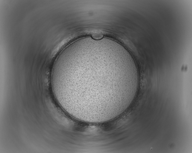 X0000115310111200911161731