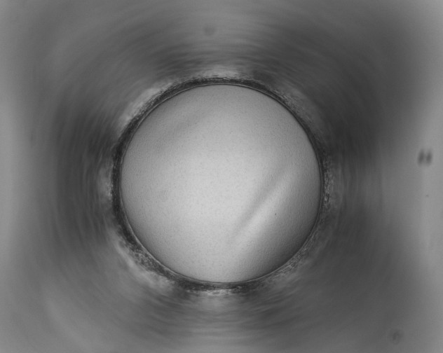 X0000115310112200911161731