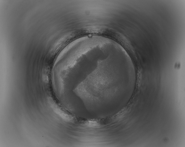 X0000115310114200911161731