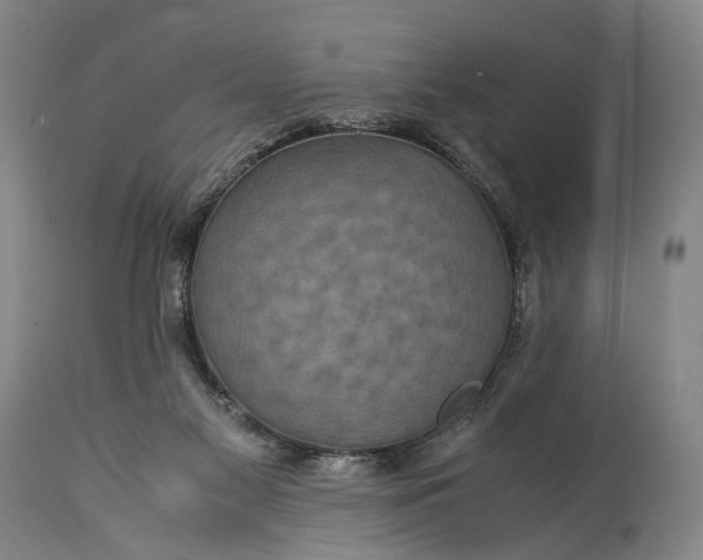 X0000115310117200911161731