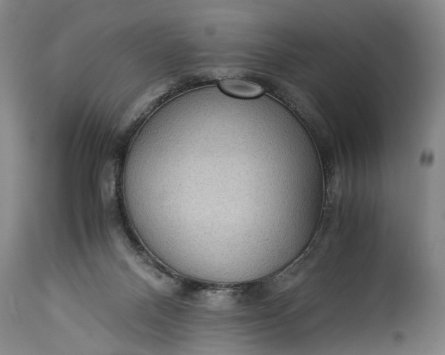 X0000115310120200911161731