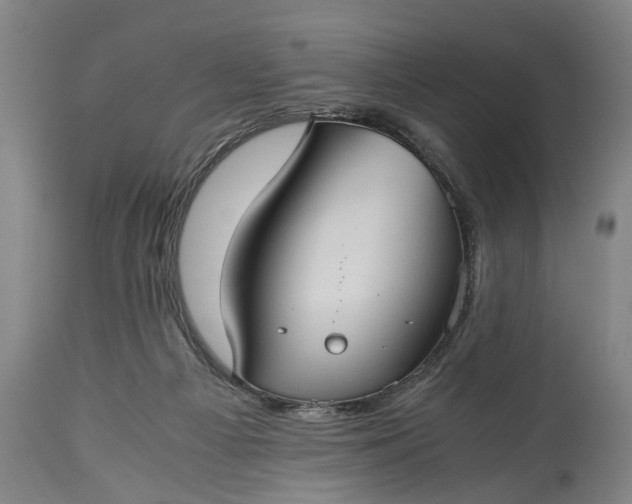 X0000115310121200911161731