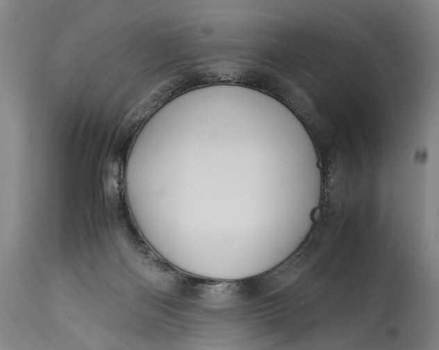 X0000115310122200911161730