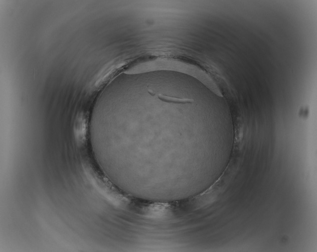 X0000115310124200911161730