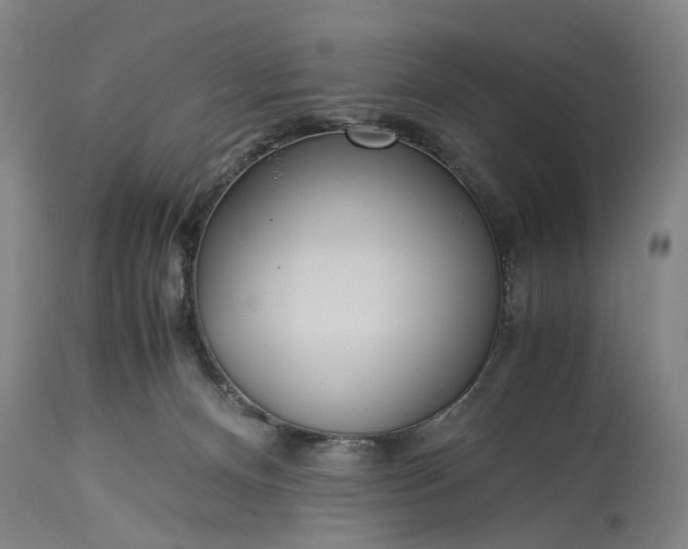 X0000115310128200911161730