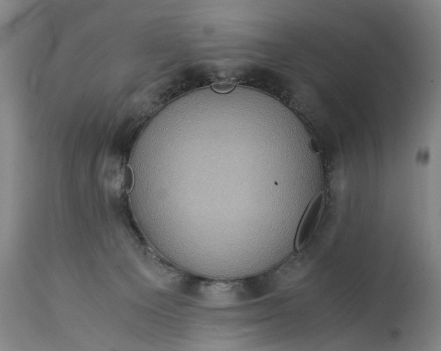 X0000115310129200911161730