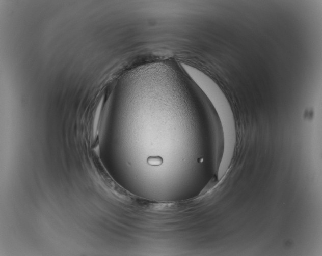 X0000115310136200911161730