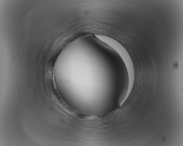 X0000115310137200911161730