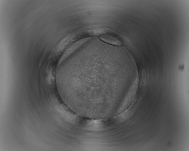 X0000115310140200911161730