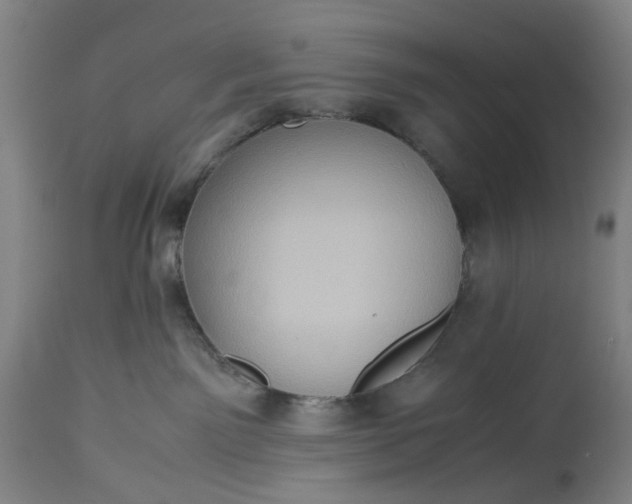 X0000115310141200911161730