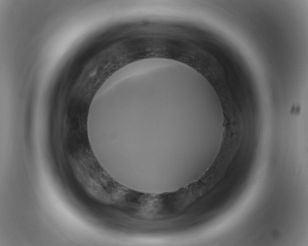 X0000115310143200911161730