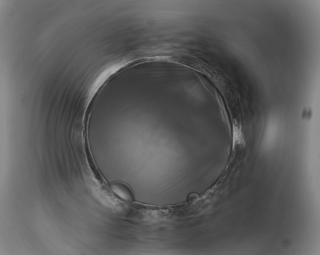 X0000115310147200911161730