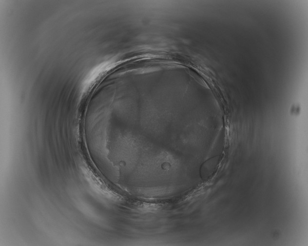 X0000115310149200911161730