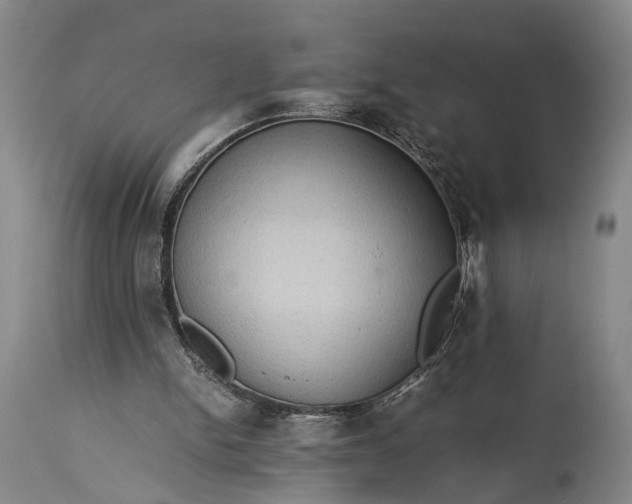 X0000115310150200911161730