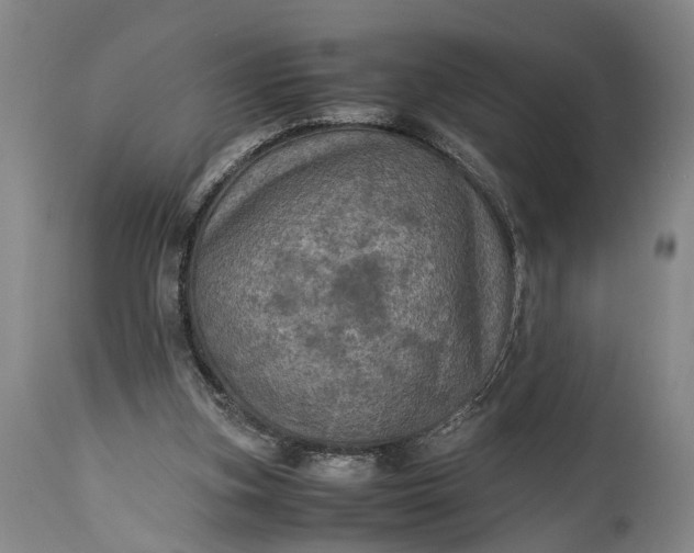 X0000115310155200911161730