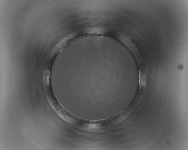 X0000115310157200911161730