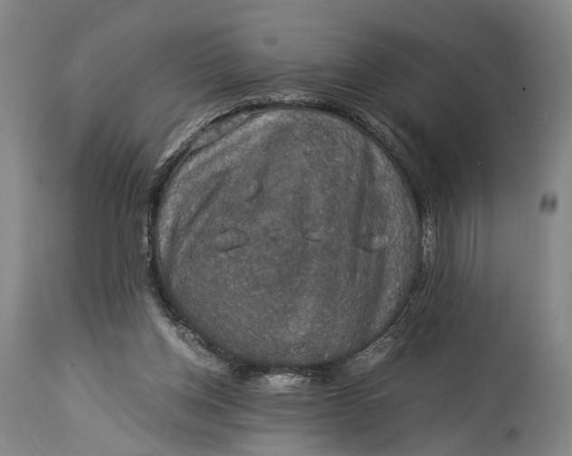 X0000115310158200911161730