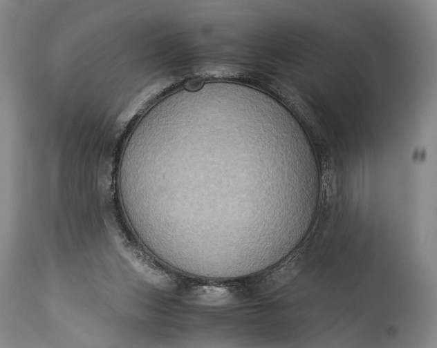 X0000115310159200911161730