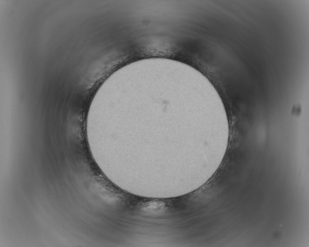 X0000115310162200911161730