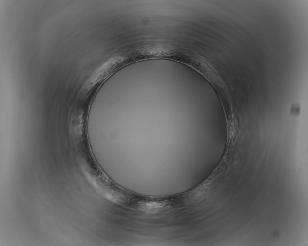 X0000115310163200911161730