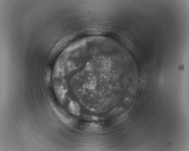 X0000115310166200911161730