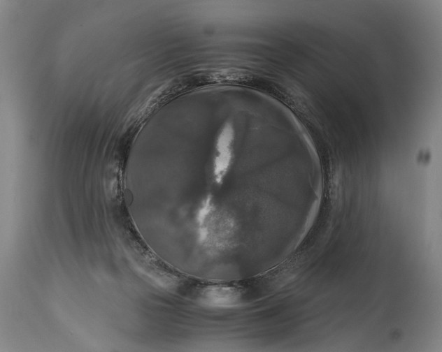 X0000115310169200911161730