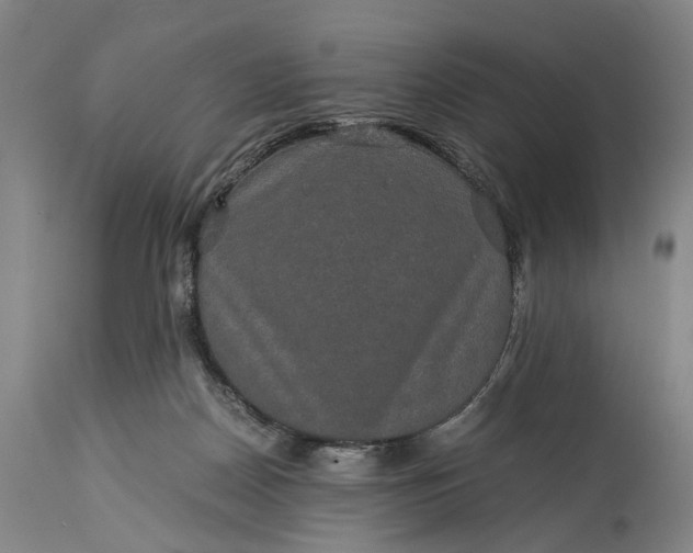 X0000115310170200911161730