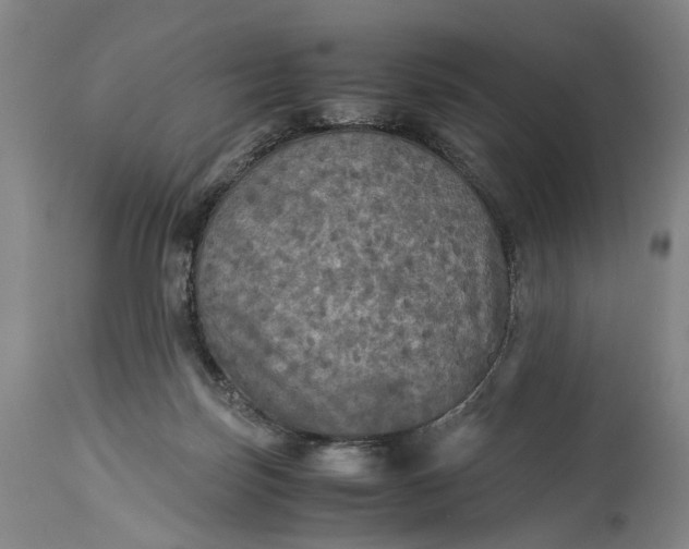 X0000115310171200911161730