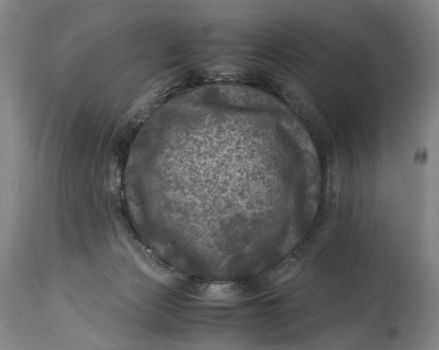 X0000115310173200911161730