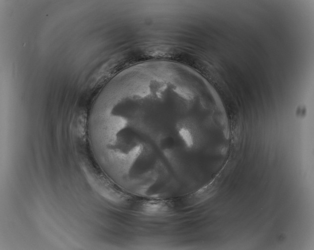 X0000115310175200911161730