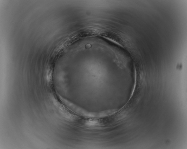 X0000115310177200911161730