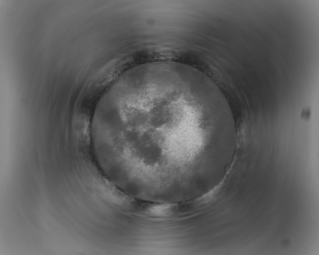 X0000115310178200911161730