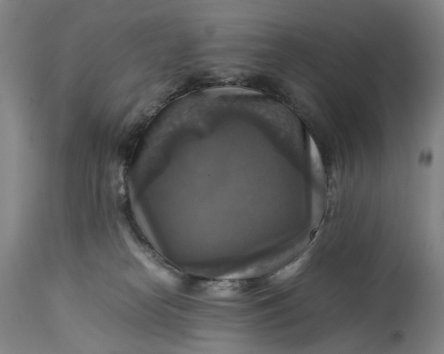 X0000115310182200911161730