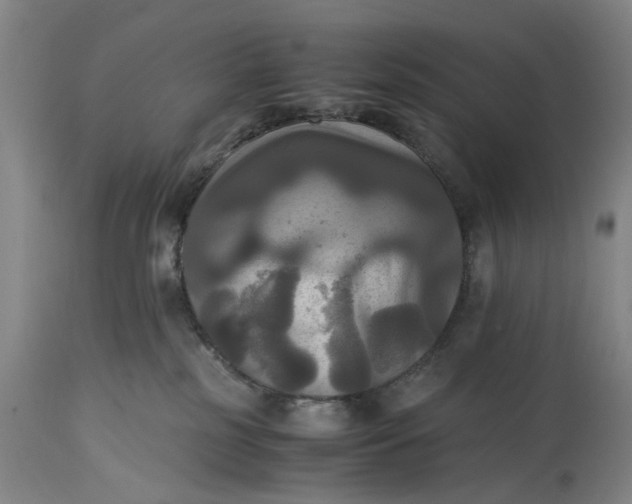 X0000115310185200911161730