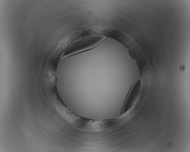 X0000115310186200911161730