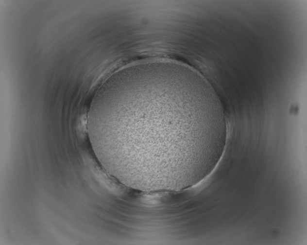 X0000115310190200911161730